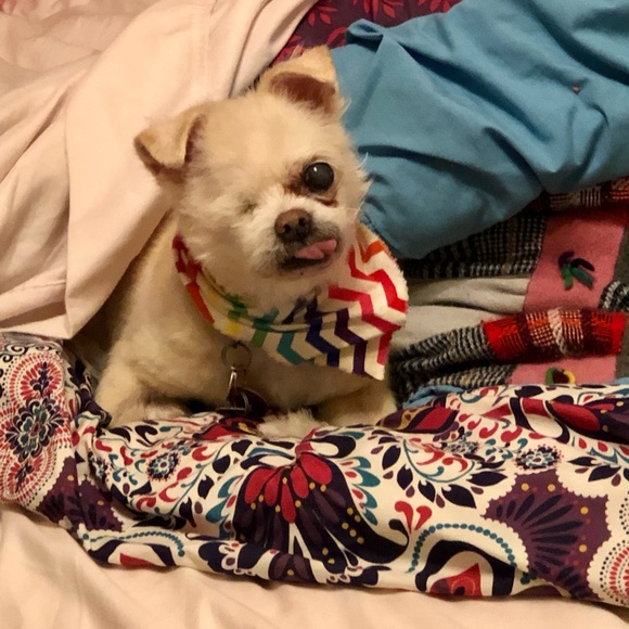 🌟❤️JEFFERSON❤️🌟 - Picture 13 of 13